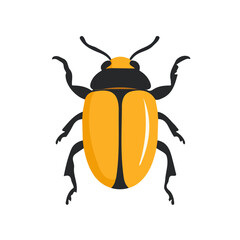 A clean, minimal flat vector of big beetle, designed in a modern 2D style on a white background. Minimalistic 2D flat icon, EPS format, insect set