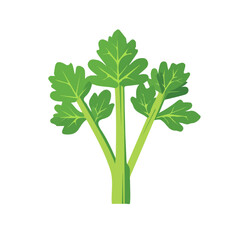 A vector clean, minimal flat vector of celery bunch, designed in a modern 2D style on a white background. Minimalistic 2D flat icon, EPS format
