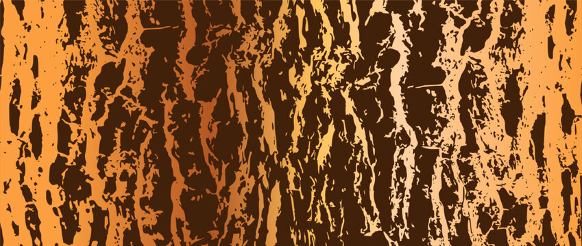 Tree bark background