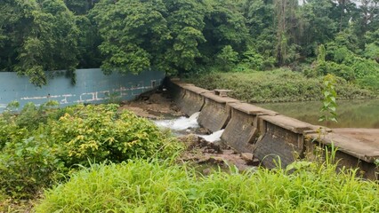 a small concrete check dam and a water spillway surrounded by thick green vegetation in a rural setting © sumit