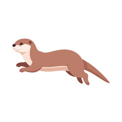 Fototapeta premium Otter Standing
