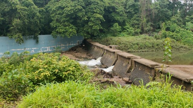 a small concrete check dam and a water spillway surrounded by thick green vegetation in a rural setting