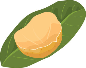 Vector illustration, longan fruit with green leaves, isolated on a white background.
