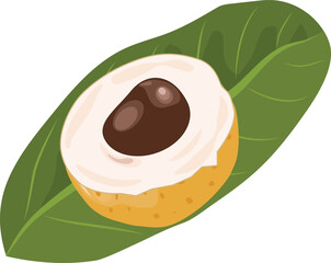 Vector illustration, longan fruit with green leaves, isolated on a white background.