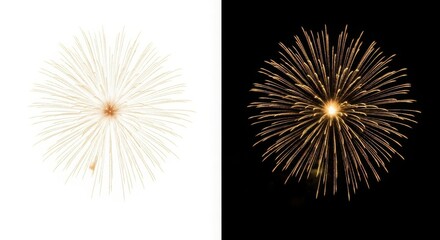Obraz premium Splendid fireworks display contrasting white and black backgrounds