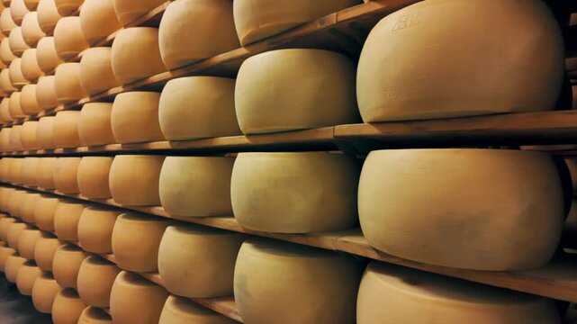 Traditional production process of Parmigiano-Reggiano hard cheese, Parma, Italy
