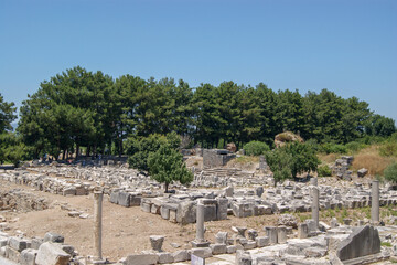 The Temple of Hadrian in Ephesus Ancient City, Sel&ccedil;uk, Turkey.