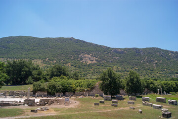 The Temple of Hadrian in Ephesus Ancient City, Sel&ccedil;uk, Turkey.
