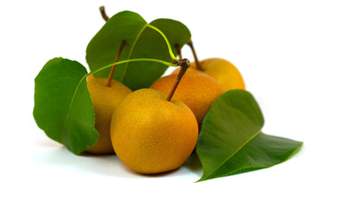  Nashi-Birnen,Pyrus pyrifolia, isoliert vor weißem Hintergrund