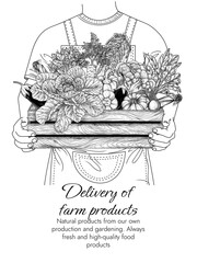 Vector illustration of farm produce delivery. Delivery man holding a wooden crate with vegetables. Banner for a grocery store. Brochure about harvest. Postcard about healthy eating. Organic farming