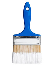 Single, bright blue paint brush whit white color paint on brushes, transparent background.