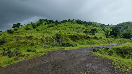 Lush Green Western Ghats Landscape: A Dirt Road Winding Through Rain-Soaked Hills and Dense Vegetation Under a Moody, Overcast Sky