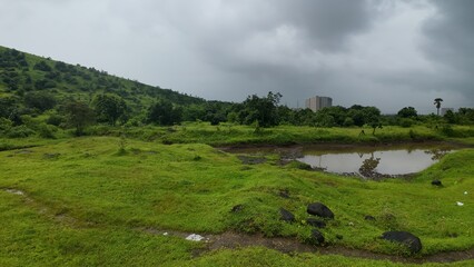 Monsoon Season Landscape of a Stagnant Muddy Water Puddle Reflecting Overcast Sky Surrounded by...