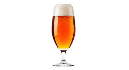 Isolated glass of beer with foam, golden ale, alcoholic drink, beverage in bar, light lager