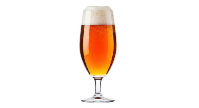 Isolated glass of beer with foam, golden ale, alcoholic drink, beverage in bar, light lager