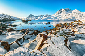 Fototapete bei efototapeten.de bestellen   