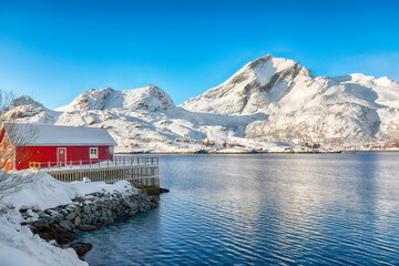 Fototapete bei efototapeten.de bestellen   