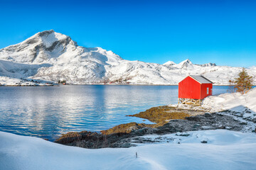 Fototapete bei efototapeten.de bestellen   