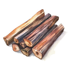 Minimal_Painted_in_watercolor, arjuna bark, hand-drawn_illustration, isolated_on_white, vector_EPS. vectorized