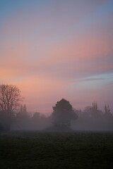 Morgennebel im Herbst in Brandenburg