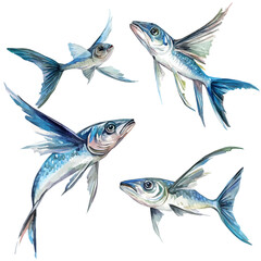 A high-quality watercolor illustration of a flying fish hand-drawn and isolated on a white background, with fine brush details, painting set in watercolor style, EPS format