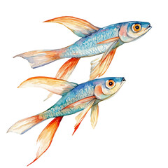 Minimal_Painted_in_watercolor, illustration_of flying fish, hand-drawn_illustration, isolated_on_white, vector_EPS. vectorized