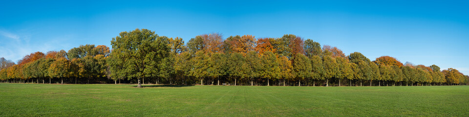 Hamburg, Germany. The City Park (German: Stadtpark) in the autumn.