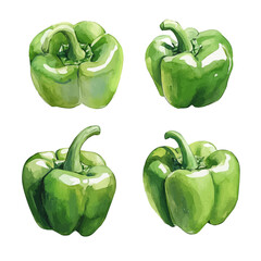 Watercolor type, An Imaginary Minimalistic 2D flat icon green bell pepper set, modern element in vector and EPS format, isolated on a white background, Simple illustration