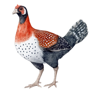 Watercolor type, An Imaginary Minimalistic 2D flat icon guinea fowl, modern element in vector and EPS format, isolated on a white background, Simple illustration