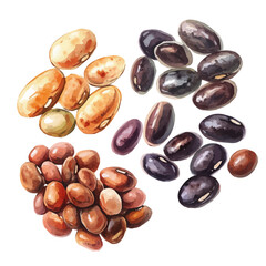 Minimal yet artistic elements for creative designs. EPS format, isolated on a white background, painting design, hand-drawn paint, Simple Illustration, A beautiful painting of pinto beans