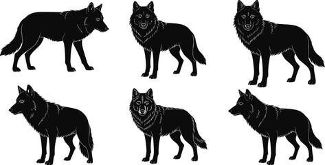 Wolf silhouette collection in standing and walking poses, black wild animal vector illustration for wildlife art, forest and nature design