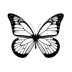 Vibrant Decorative Butterfly Vector