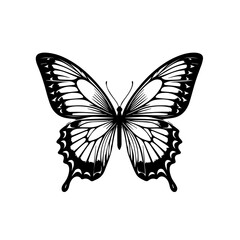 Elegant Colorful Butterfly Vector Art