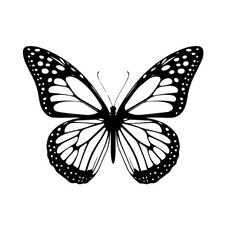 Vivid Artistic Butterfly Vector Illustration