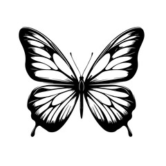 Vibrant Butterfly Vector Illustration