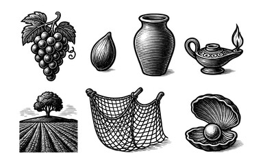 Fototapeta premium Vintage botanical and nautical black and white engravings with tree, grapes, and shell