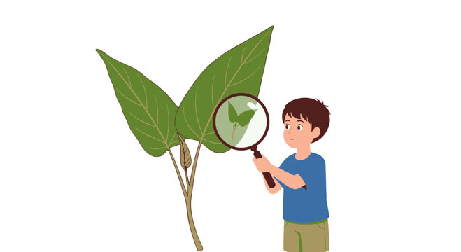 Young Explorer Observing Plant Life With Magnifying Glass Upon Black Background