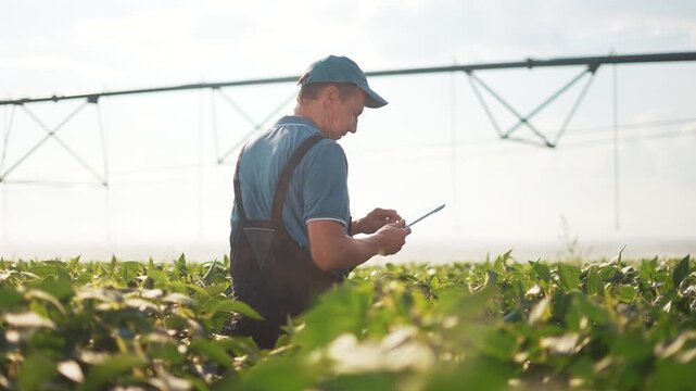 A male farmer holding a tablet stands in a field of crops under an irrigation structure. The male farmer examines crops and uses a tablet for monitoring in the field.