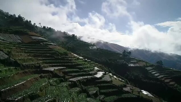 Lush terraced green mountains under bright sky, agricultural fields forming layered patterns in scenic natural landscape.
