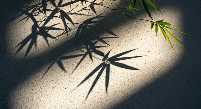 Shadows of bamboo leaves cast on a textured wall, evoking a sense of tranquility and natural beauty