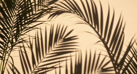 Obraz premium Natural light creating dramatic shadows from tropical palm leaves against a serene, sandy-colored wall