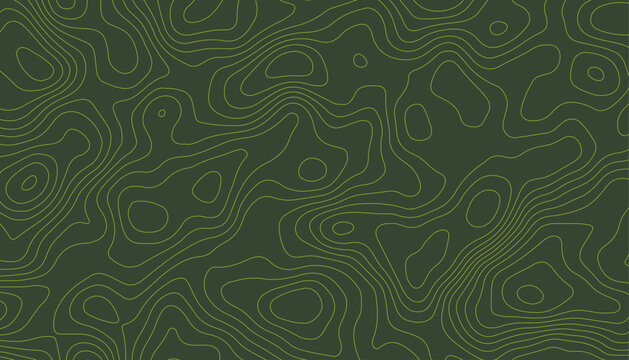 Abstract nature-themed design featuring subtle elevation map textures. Seamless pattern of earthy topographic map lines on a forest green surface.