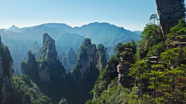 Majestic Zhangjiajie national forest park: towering sandstone pillars emerging from lush green forest, Wulingyuan Scenic Area, Hunan Province, China.  