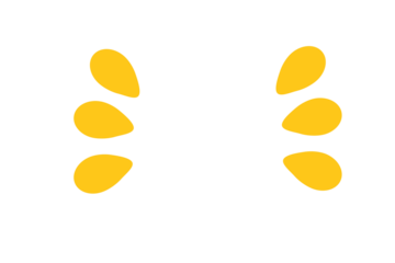 Yellow decorative accent marks