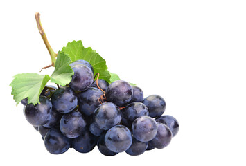 Bunch of grapes isolated