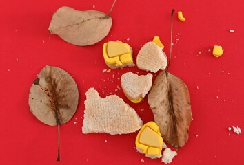 delicious homemade cookie on red background