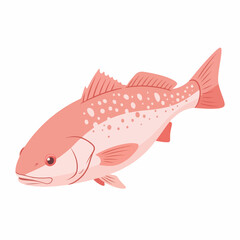Simple Flat Illustration Red Drum Fish Marine Animal Seafood Design