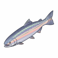 Detailed Illustration of a Realistic Salmon Fish Animal Aquatic Creature
