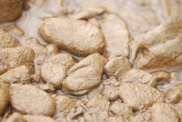 Stones in the dirt in the river coast