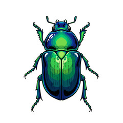 Beetle flat color illustration on white background